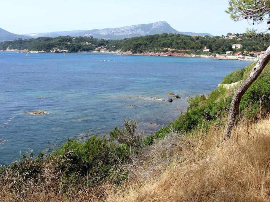 T2: 45M2 :4 Places :Independant Dans Villa Hyères Exterior foto